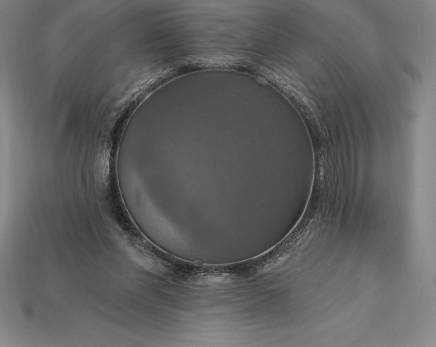 X0000115200206200911121850