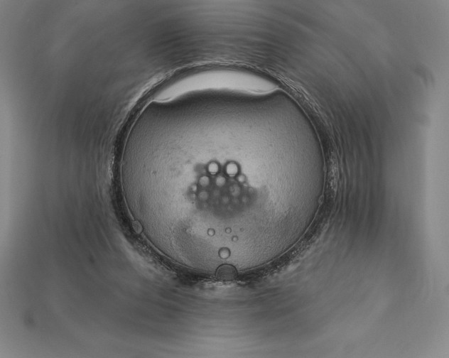 X0000115200208200911121850