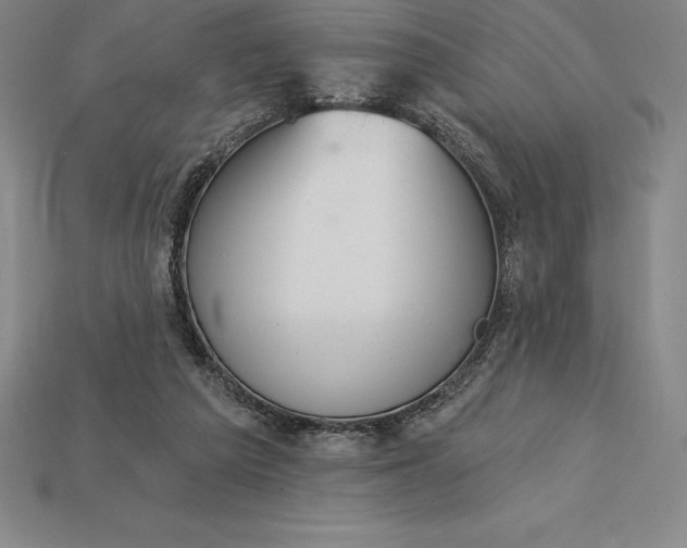 X0000115200209200911121850