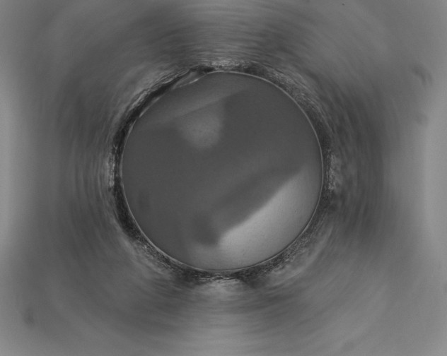 X0000115200210200911121850