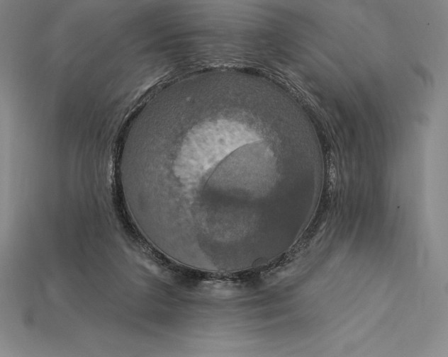 X0000115200211200911121850