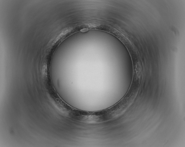 X0000115200212200911121850