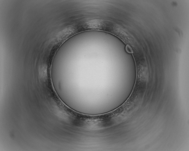 X0000115200213200911121850