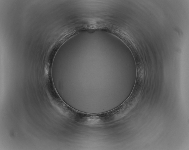X0000115200214200911121850