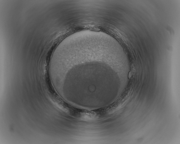 X0000115200215200911121850