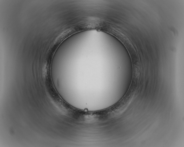 X0000115200216200911121850