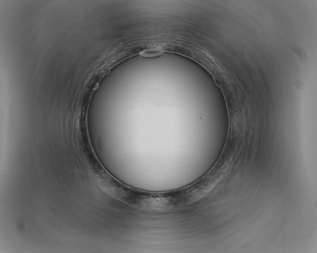 X0000115200217200911121850