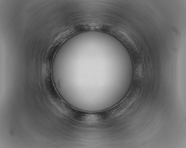 X0000115200218200911121850