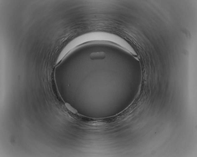 X0000115200219200911121850