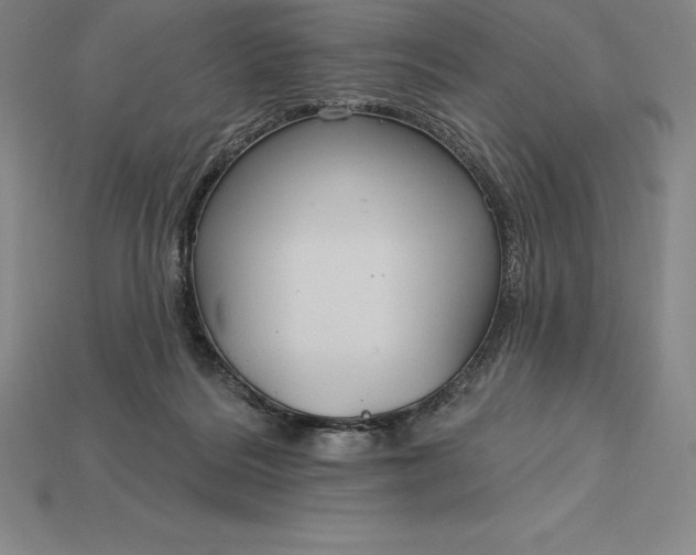 X0000115200220200911121850