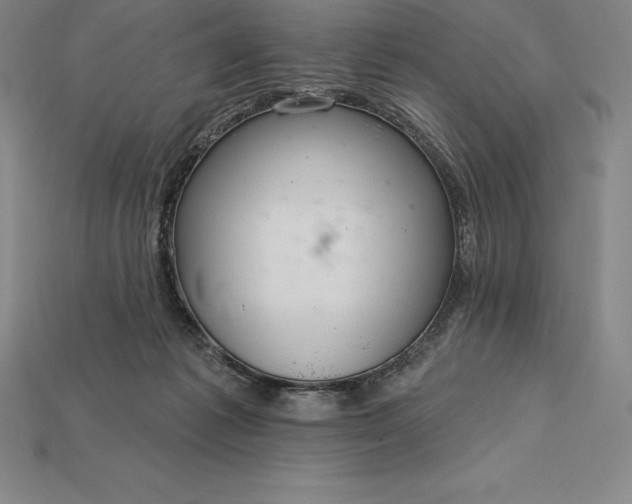 X0000115200221200911121849