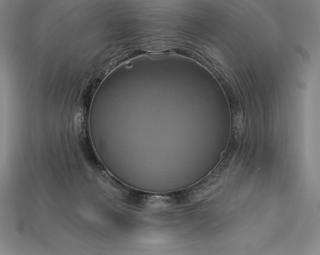 X0000115200222200911121849