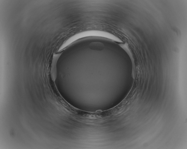 X0000115200223200911121849