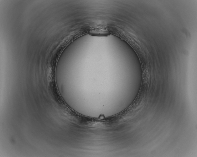 X0000115200224200911121849