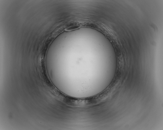 X0000115200225200911121849