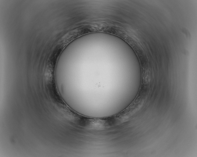 X0000115200226200911121849
