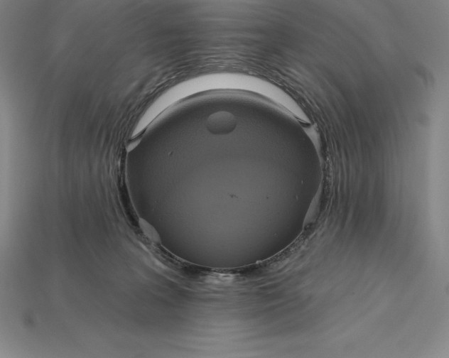 X0000115200227200911121849