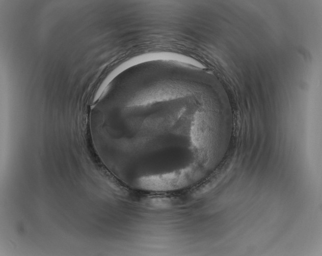 X0000115200228200911121849