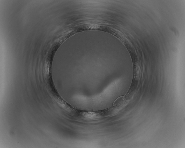X0000115200230200911121849