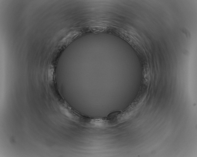 X0000115200231200911121849