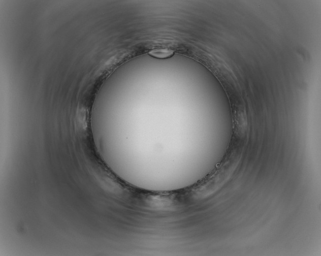 X0000115200232200911121849