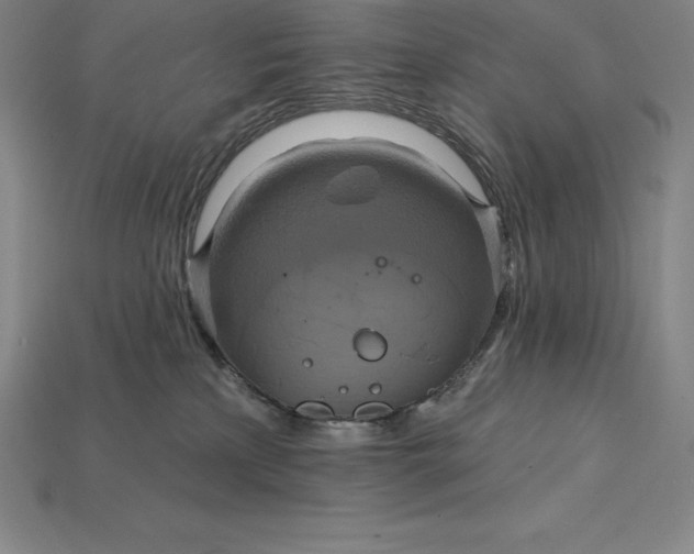 X0000115200233200911121849
