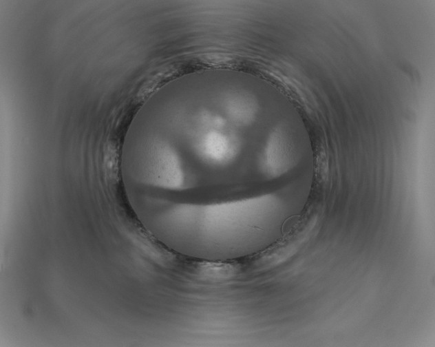 X0000115200234200911121849