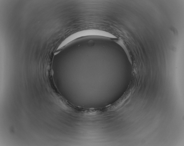 X0000115200235200911121849