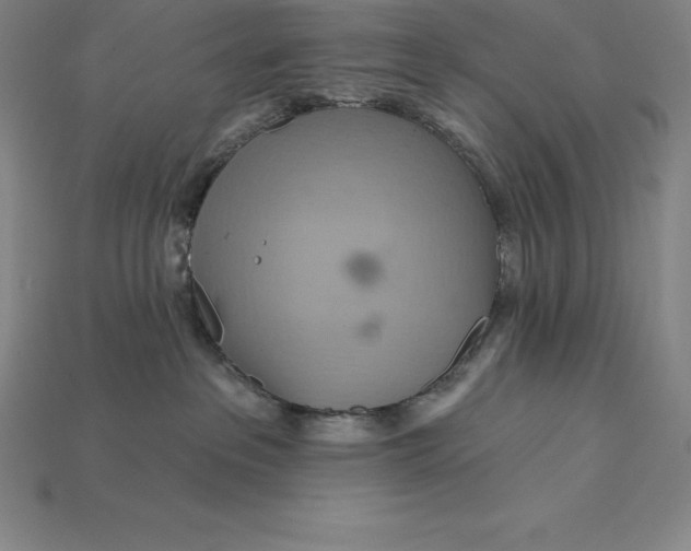 X0000115200237200911121849