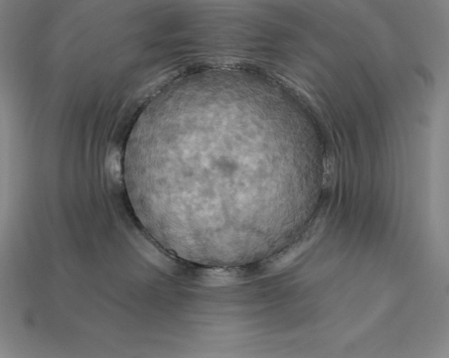 X0000115200238200911121849