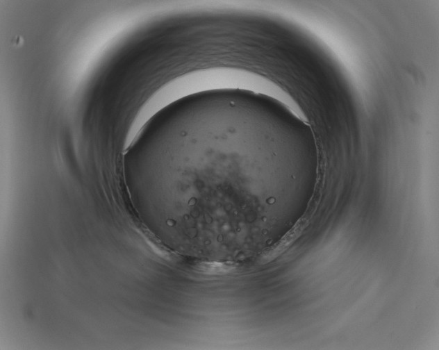 X0000115200239200911121849