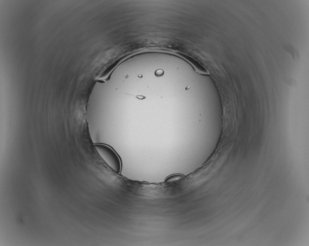 X0000115200240200911121849