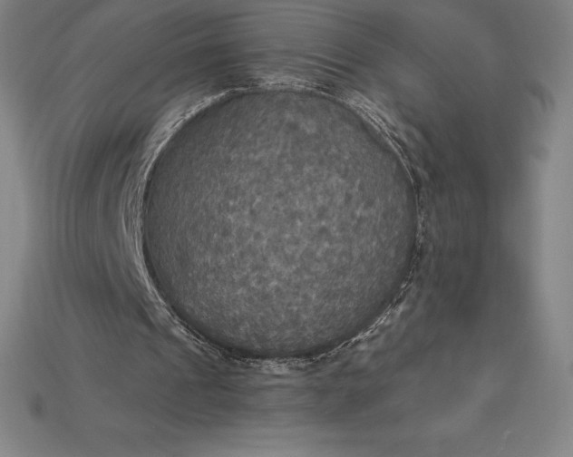 X0000115200241200911121848