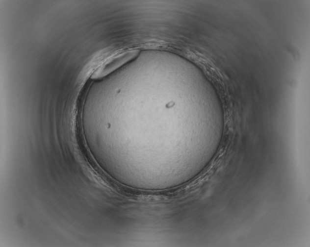 X0000115200242200911121848