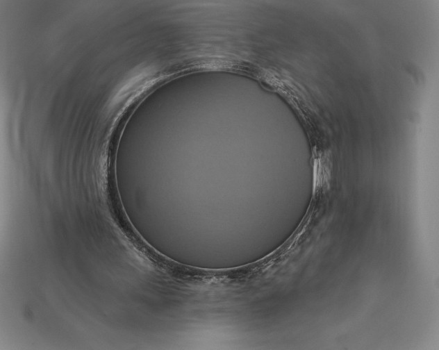 X0000115200243200911121848