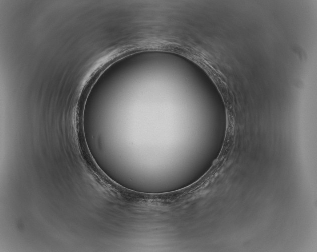 X0000115200244200911121848