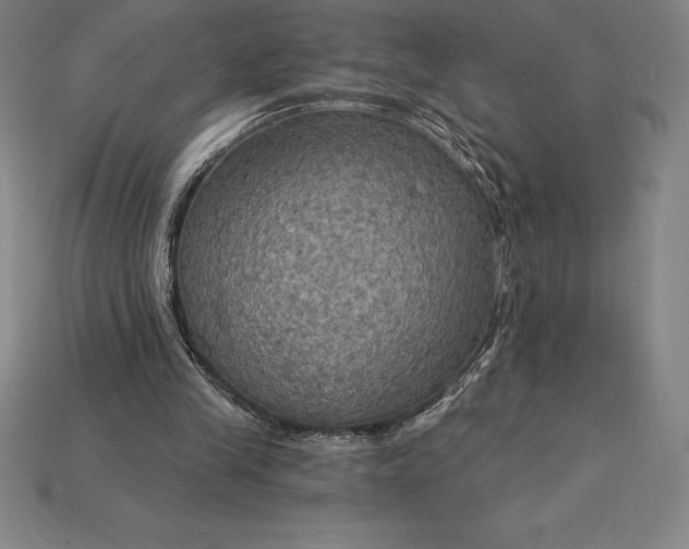 X0000115200245200911121848