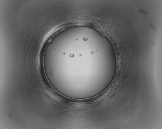 X0000115200246200911121849