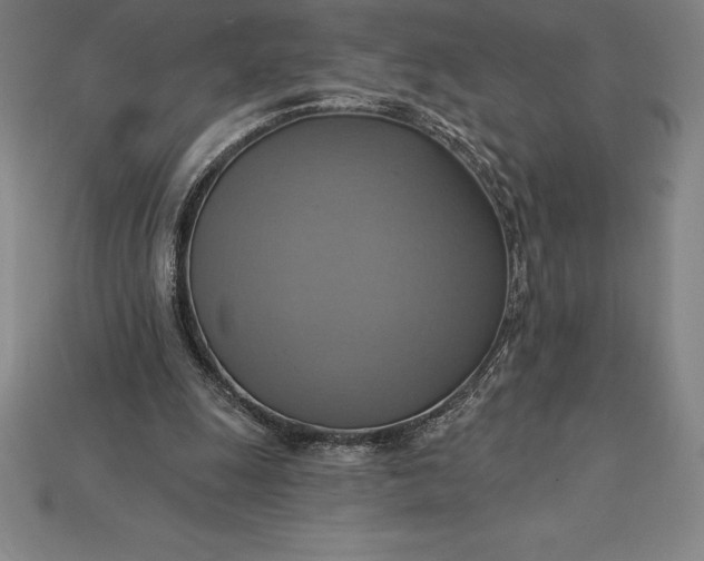 X0000115200247200911121849