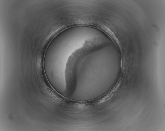 X0000115200249200911121849