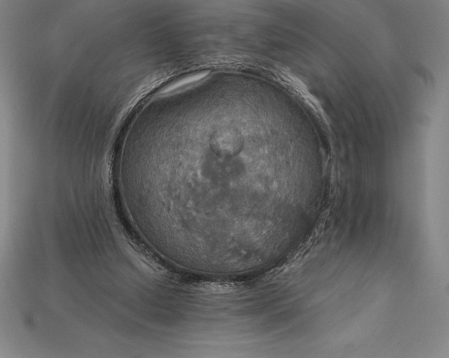 X0000115200250200911121849