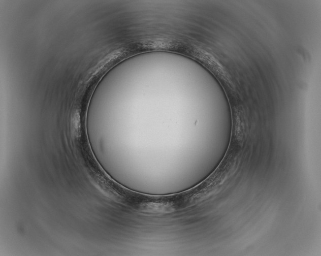 X0000115200251200911121849