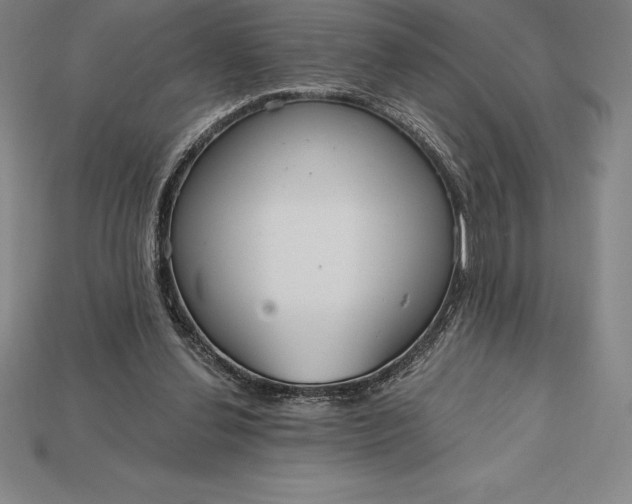 X0000115200252200911121849