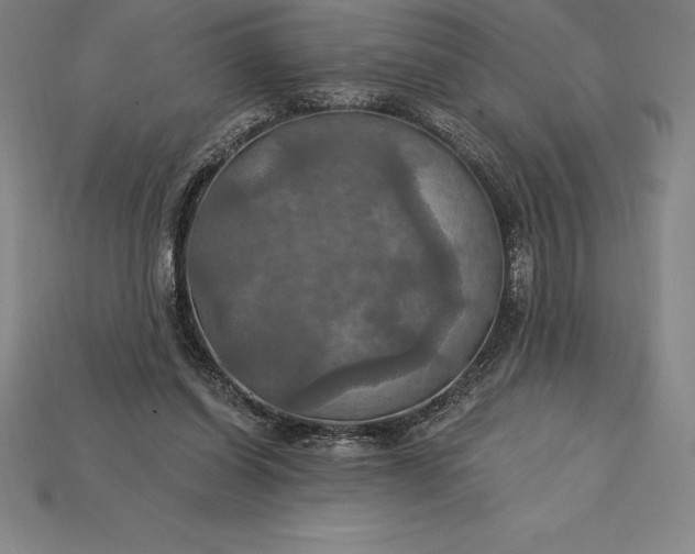 X0000115200254200911121849