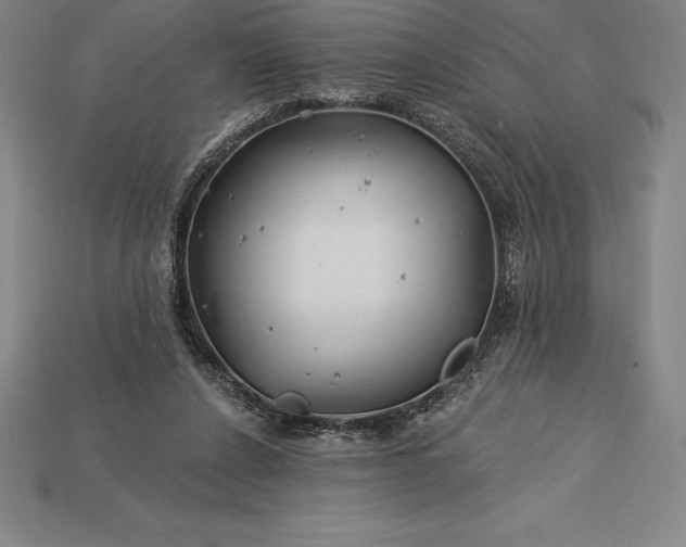X0000115200256200911121849