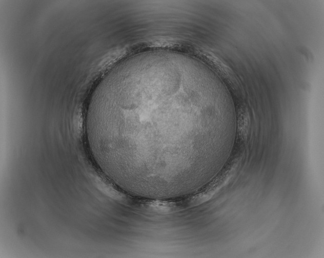 X0000115200261200911121849