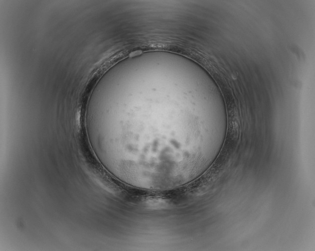 X0000115200262200911121849