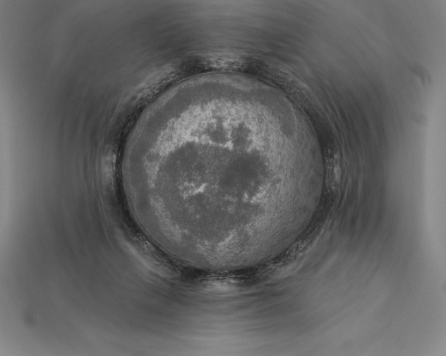 X0000115200263200911121849