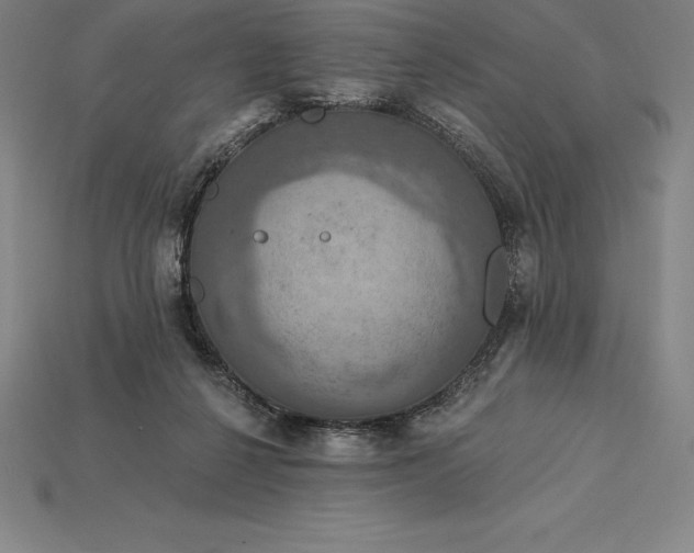 X0000115200264200911121849