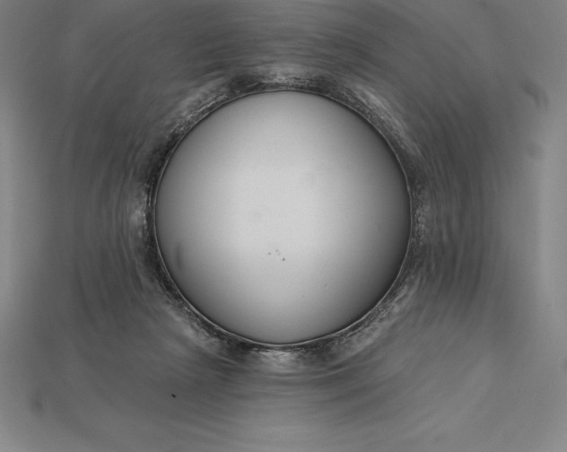 X0000115200265200911121849